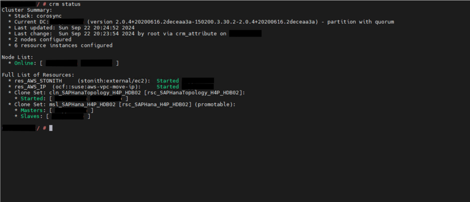 Cluster status showing synchronized replication