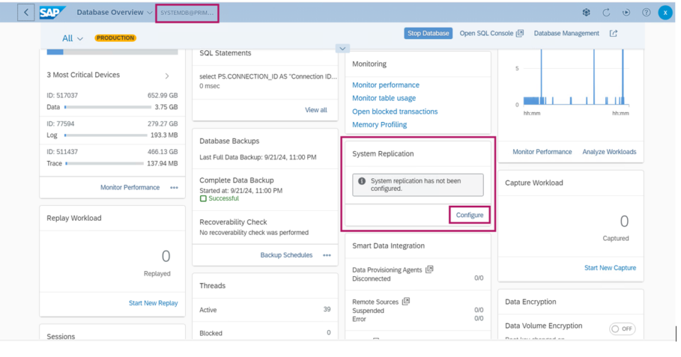 Primary node replication enablement command output