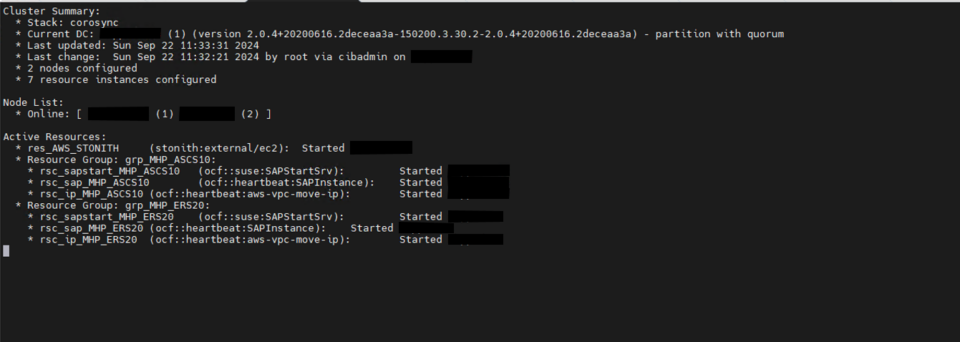 Cluster resource grouping for central services
